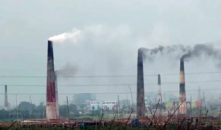 প্রতিদিন ধ্বংস হচ্ছে বনভূমি