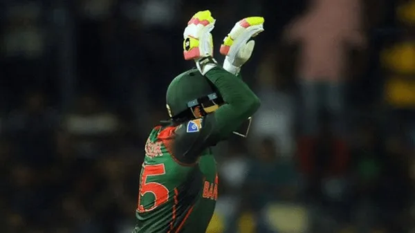 বীণ বাজিয়ে যা সাপুড়ে…