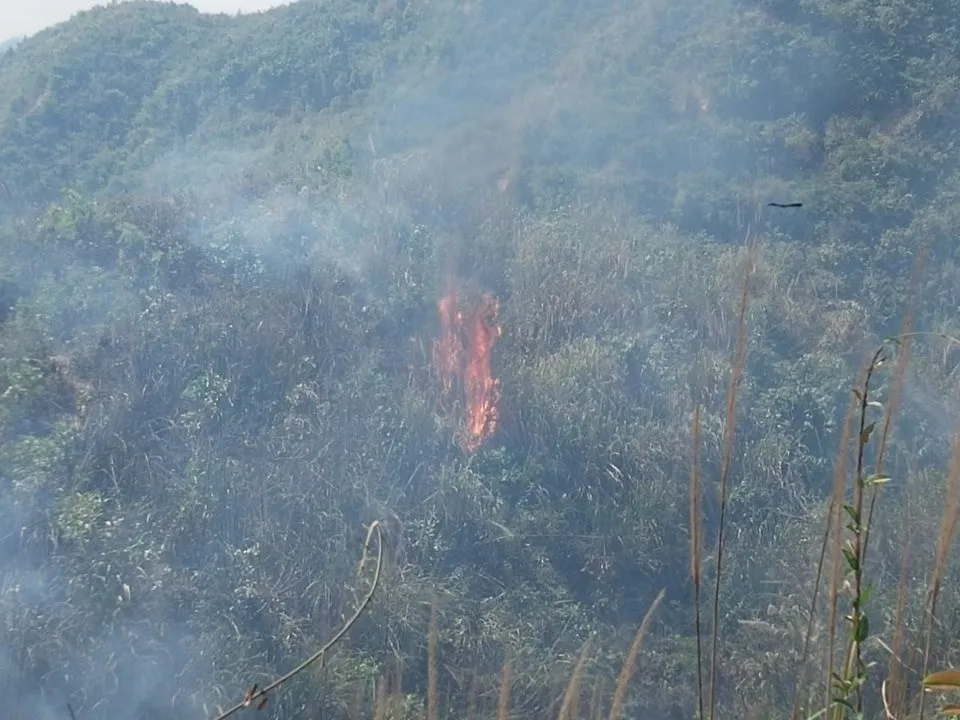 রোহিঙ্গা ক্যাম্প সংলগ্ন বনে আগুন: অন্তত ৭০ লাখ টাকার ক্ষতি