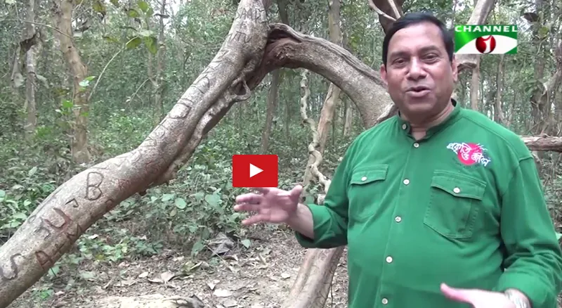হুমকির মুখে দিনাজপুরের সিংড়া ফরেস্ট