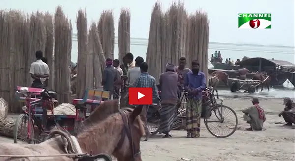 সেইসব শূন্য বালুচরে এখন ফসলের সমারোহ