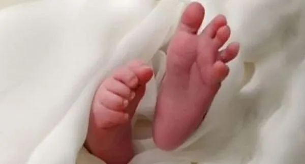 হাসপাতালে মৃত ঘোষণা, কবরস্থানে নিতেই কেঁদে উঠলো নবজাতক
