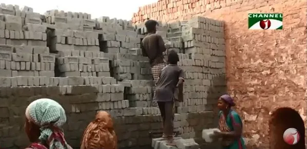 শরীয়তপুরে ইট তৈরিতে অনিয়ম