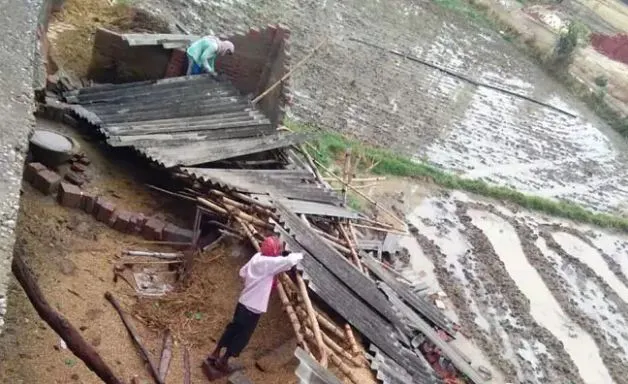 ভারত-ধূলিঝড়-ধূলিঝড়ে নিহত