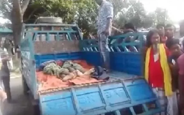ময়মনসিংহে বাস ও সিএনজি অটোরিকশার সংঘর্ষে ৬ জন নিহত