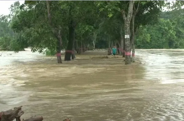 বন্যা