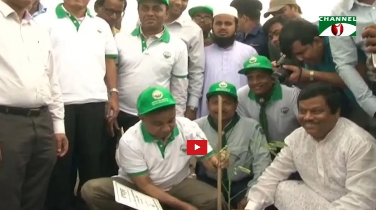 মীরসরাইকে গ্রিন জোনে পরিণত করার উদ্যোগ