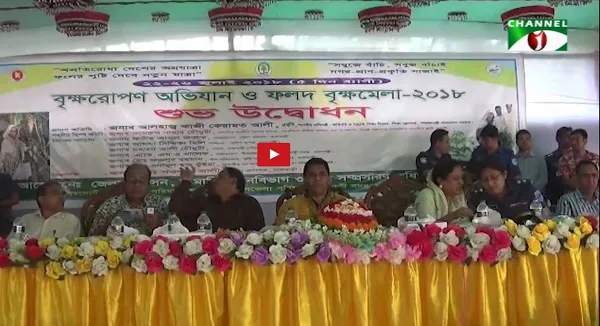 বৃক্ষরোপণ
