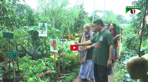 বৃক্ষমেলা