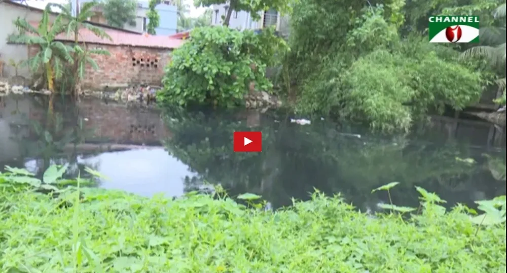 সাম্প্রতিক বন্যায় বিপর্যয়ের মুখে হালদা নদী