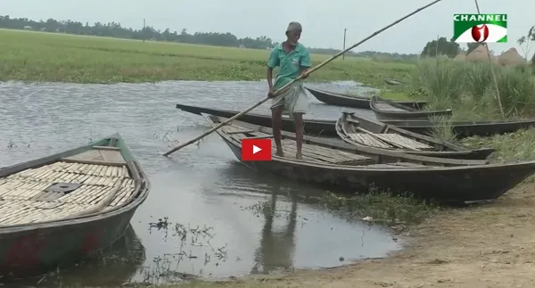 যে কারণে হুমকির মুখে চলনবিলের জীববৈচিত্র্য