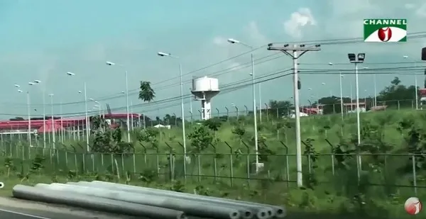 পদ্মা সেতু এলাকায় সবুজায়ন প্রকল্প