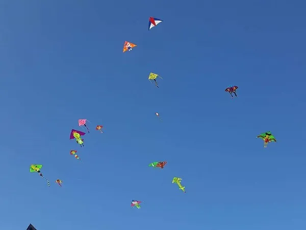 ঘুড়িতে