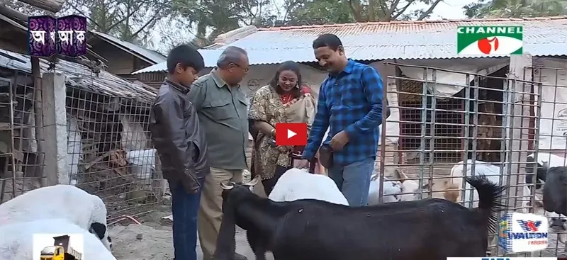 প্রাণিসম্পদ-সংগ্রহশালা-যশোর