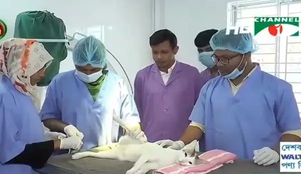 রাজধানীতে বিশ্বমানের পশু হাসপাতাল