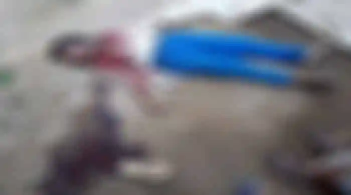 শেরপুরে ট্রাক চাপায় ছোট ভাই নিহত, বড় ভাই আহত
