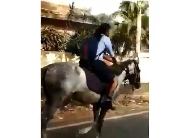 ঘোড়ায় চড়ে পরীক্ষা দিতে যাওয়া ছাত্রী ভাইরাল