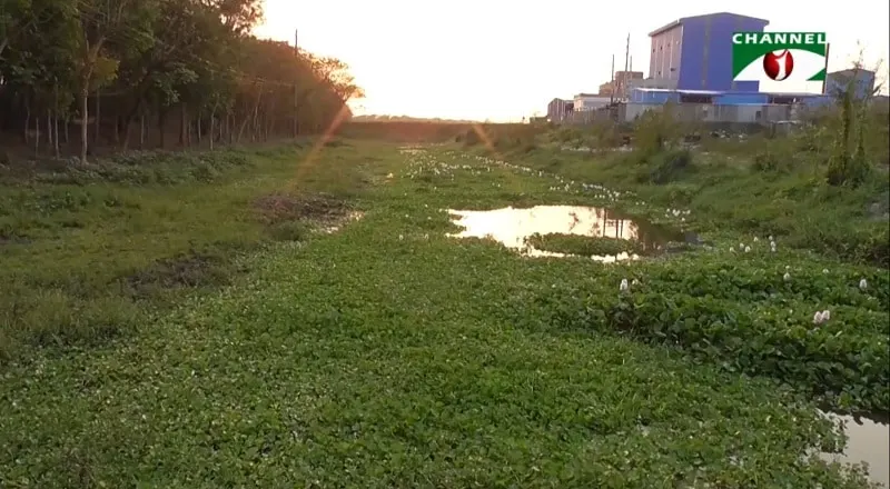 নড়াইল-খাল পুনঃখনন