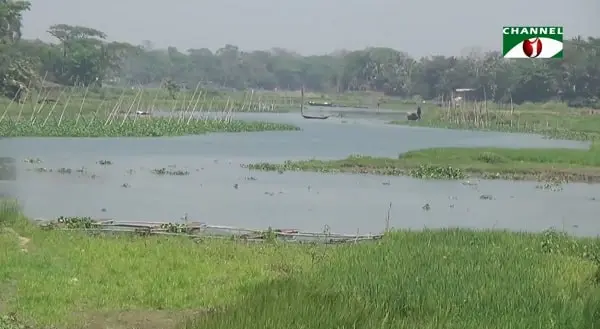 চাঁদপুরে দখল-দূষণে নদী বেহাল