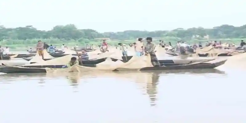 হালদা নদীতে ডিম ছাড়ছে মাছ