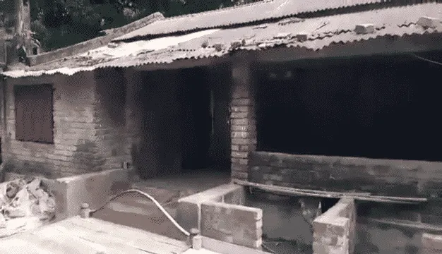 যশোর-মা-দুই সন্তানের মরদেহ