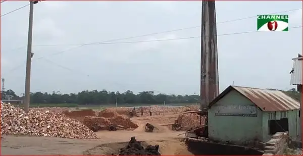 চাঁদপুরে ইটভাটায় পরিবেশ বিপর্যয়