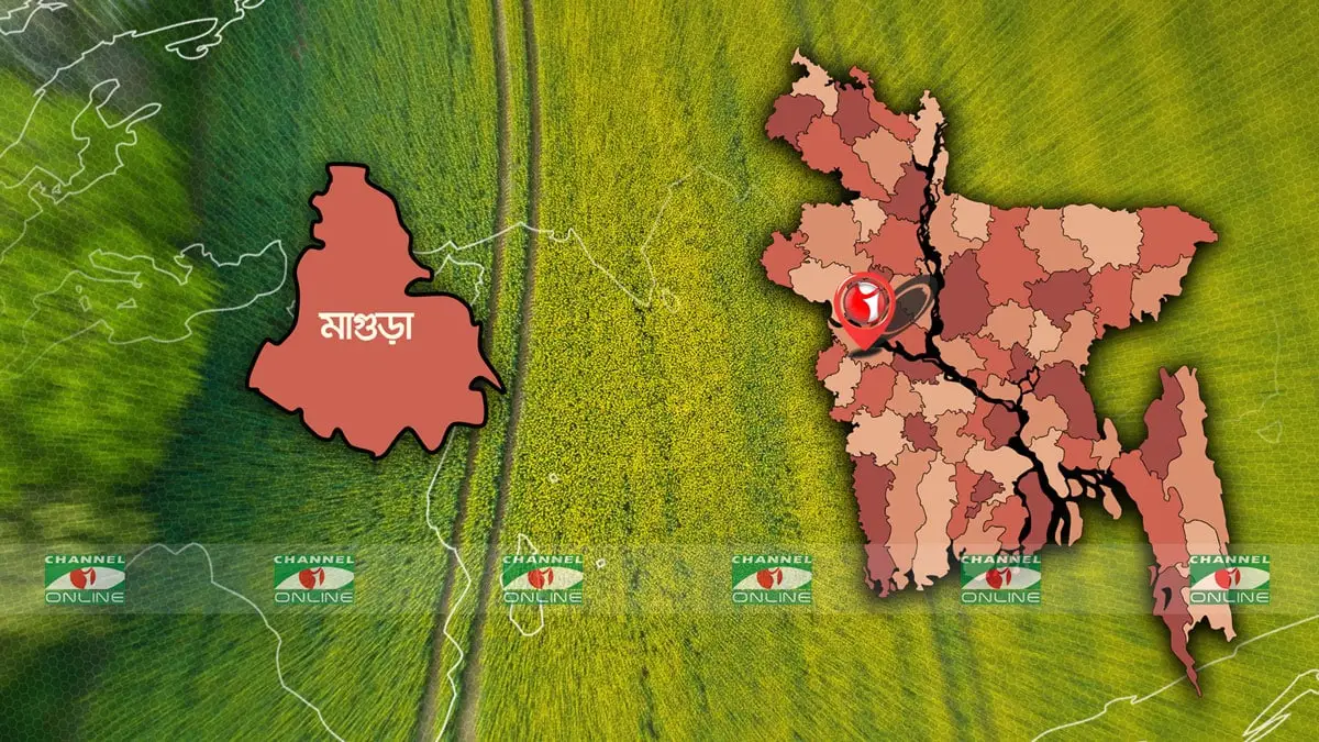 মাগুরায় বাসের ধাক্কায় কৃষক নিহত