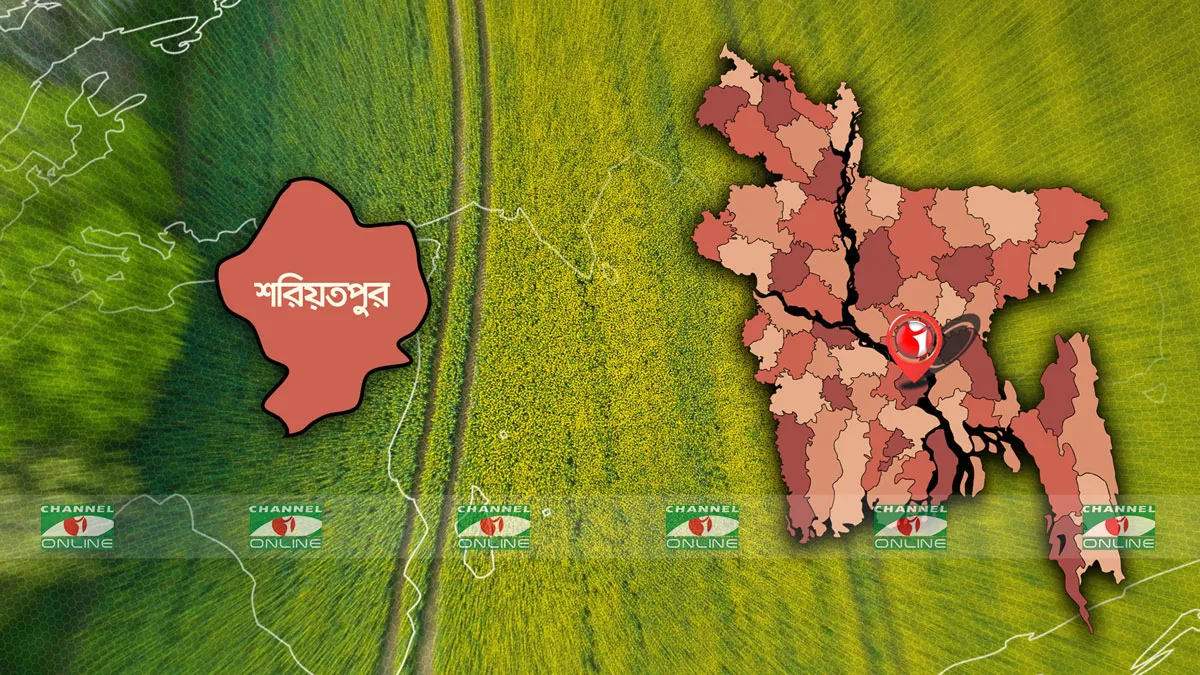 রাসেলস ভাইপারের উপদ্রবে আতঙ্কে শরীয়তপুরের চরাঞ্চলের মানুষ