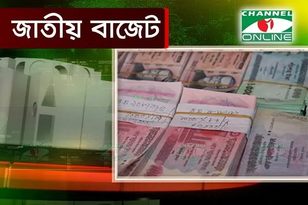 বাজেট ২০২০: গৌরী সেনের টাকা কে কতটা পাবে?