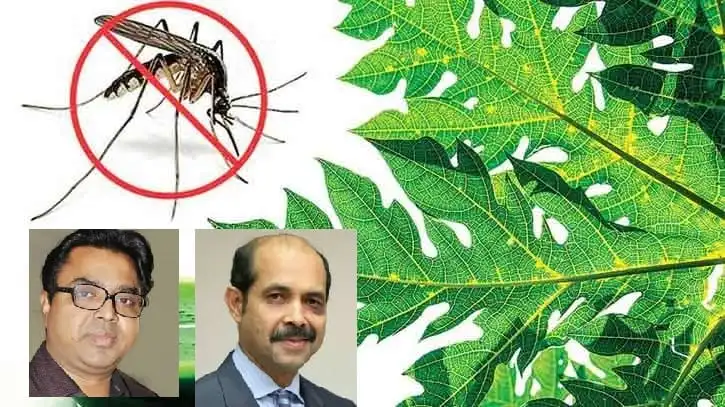 ডেঙ্গু পরিস্থিতি ও পেঁপে পাতা সমাচার