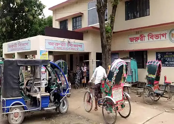 রাজবাড়ী-বাস উল্টে নিহত