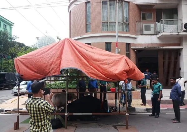 কোরবানির পশু রেখে রাস্তা দখল করায় জরিমানা