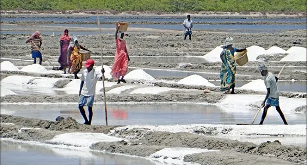 এসব কীসের আলামত