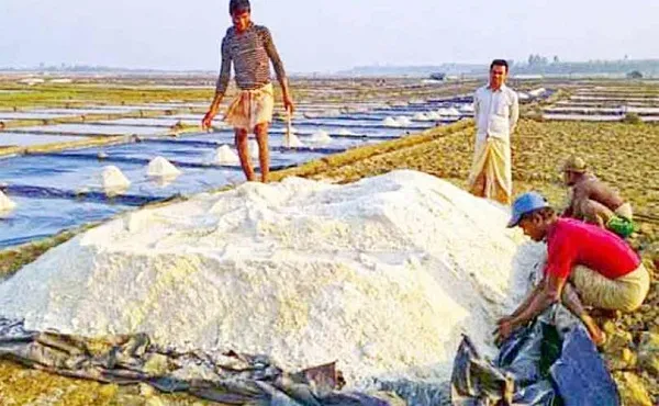 নিবন্ধন ছাড়া লবণ আমদানিতে জেল-জরিমানা
