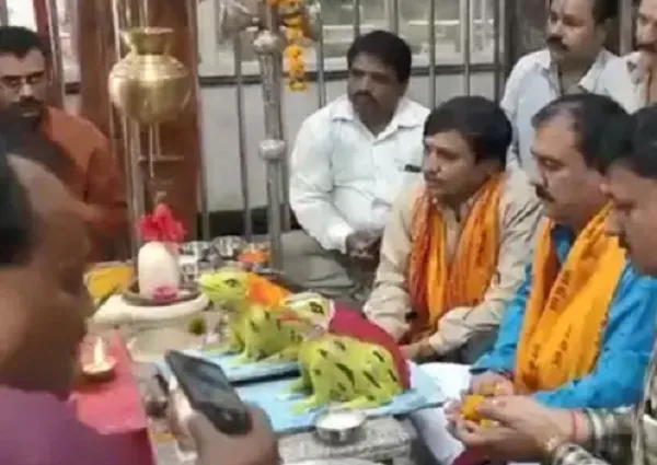 বৃষ্টি থামাতে বিচ্ছেদ হলো ব্যাঙ দম্পতির
