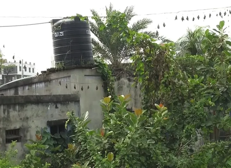 জঙ্গি আস্তানা সন্দেহে নারায়ণগঞ্জে অভিযান, এক নারীসহ আটক ৩