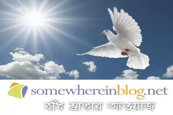 মুক্ত হলো সামহোয়্যারইন ব্লগ