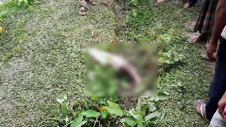পুকুর পাড়ে মিলল মানব দেহের খণ্ডিত অংশ