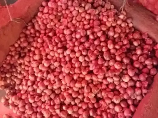 শুদ্ধি অভিযানের মধ্যেই পেঁয়াজ সিন্ডিকেটের এমন দাপট!