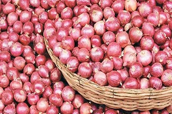 পেঁয়াজের চালান-কার্গো বিমান
