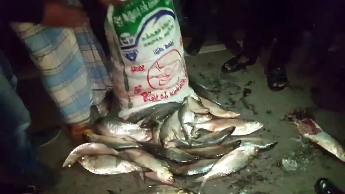 বস্তা ভর্তি ইলিশ নিয়ে আটক তিন পুলিশ