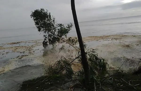 পদ্মার চরে কাশবন কাটতে গিয়ে পাড় ভেঙে নদীতে, নিখোঁজ ২