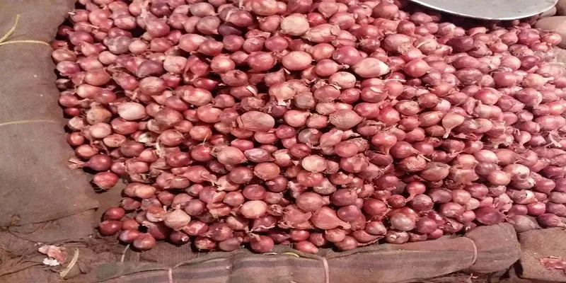 পেঁয়াজের ডাবল সেঞ্চুরি
