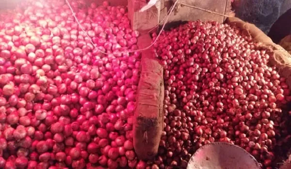পেঁয়াজ নিয়ে ‘পাইজ্জামি’