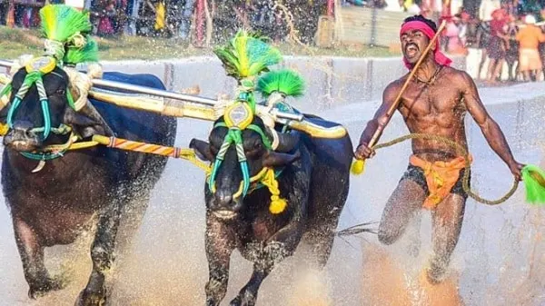 বৈদ্যুতিক শৌচাগার ট্যাংক পরিষ্কার করতে পানিতে ঝাঁপ দিচ্ছেন একজন ব্যক্তি. Channel i News - চ্যানেল আই নিউজ