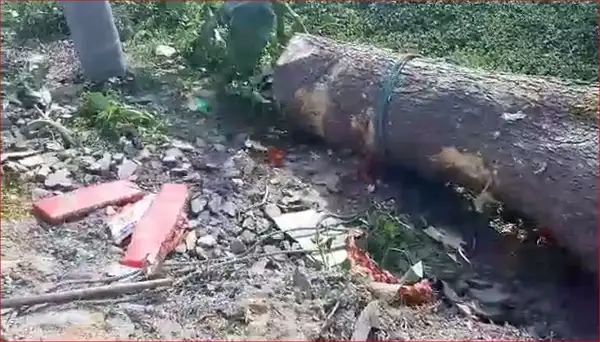 গাছের নিচে ভ্যানের ওপর পড়ে থাকা প্রবীণদের দেহের অংশ দেখা যাচ্ছে. Channel i News - চ্যানেল আই নিউজ
