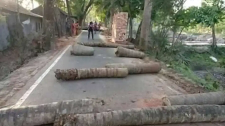 টুঙ্গিপাড়ায় সড়কে গাছ ফেলে লকডাউন কার্যকর, পথ বন্ধ. Channel i News - চ্যানেল আই নিউজ