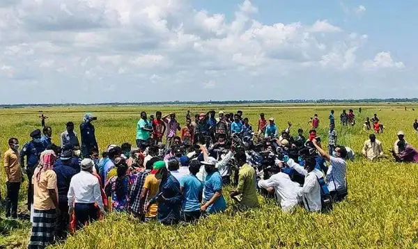 ধান কাটার মহোৎসবের জন্য জমায়েতের দৃশ্য, কৃষকদের উৎসাহ ও আনন্দ।. Channel i News - চ্যানেল আই নিউজ