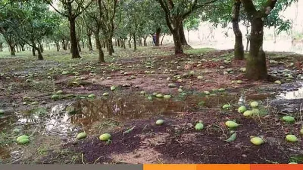 আম্পান
