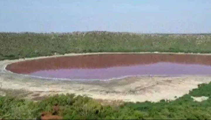 বাংলাদেশের একটি হ্রদ যেখানে পানির রং হঠাৎ গোলাপি হয়ে গেছে. Channel i News - চ্যানেল আই নিউজ